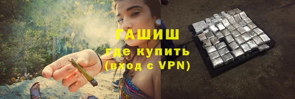 стаф Касимов