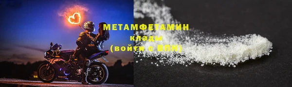 стаф Касимов