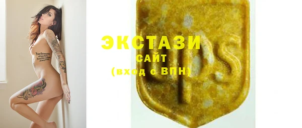 стаф Касимов