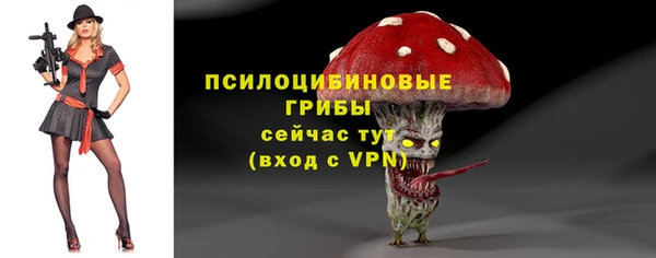 молекула духа Каменка