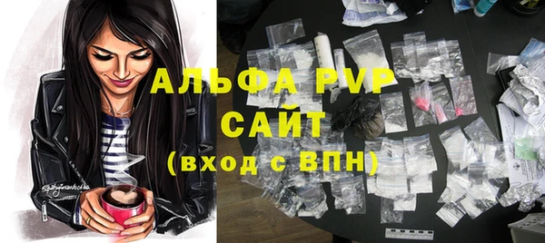 стаф Касимов