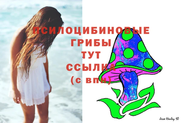 винт Каменск-Шахтинский