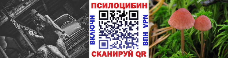 Купить закладки Боровск Галлюциногенные грибы Psilocybe